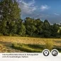 Preview: Küchenrückwand Folie Landschaft im Frühling Detailbild 2