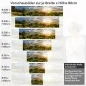 Preview: Küchenrückwand Folie Landschaft im Frühling Höhe 80cm