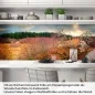 Preview: Küchenrückwand Folie Holzweg durch die Herbstlandschaft Artikelbild 1