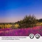 Preview: Küchenrückwand Folie Lavendelfeld Detailbild 2
