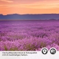 Preview: Küchenrückwand Folie Lavendel Panorama Detailbild 2