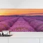 Preview: Küchenrückwand Folie Lavendel Panorama Hauptbild 1