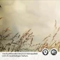 Preview: Küchenrückwand Folie Weizenfeld Detailbild 2