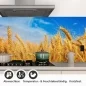 Preview: Küchenrückwand Folie goldener Weizenfeld Detailbild 1