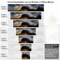 Preview: Küchenrückwand Folie Der Himmel im Panoramablick Höhe 80cm