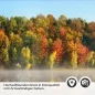 Preview: Küchenrückwand Folie Herbstpanorama mit Nebelschleier am See Detailbild 2