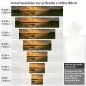 Preview: Küchenrückwand Folie Steg im See zum Sonnenuntergang Höhe 80cm
