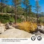 Preview: Küchenrückwand Folie Klarer See - Natur und Sonne Detailbild 2