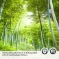 Preview: Küchenrückwand Folie Bambus Paradies - Fernöstliches Flair für Zuhause Detailbild 2