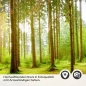 Preview: Küchenrückwand Folie Bach im Wald Detailbild 2