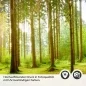 Preview: Küchenrückwand Folie Bach im Wald Detailbild 2