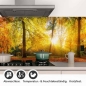 Preview: Küchenrückwand Folie Herbstwald - Farbenpracht für Ihre Küche Detailbild 1