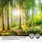 Preview: Küchenrückwand Folie Wald Lichtspiel Detailbild 2