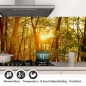 Preview: Küchenrückwand Folie herbstlicher Wald Detailbild 1