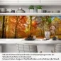 Preview: Küchenrückwand Folie goldener Herbstwald - Strahlende Naturpracht Artikelbild 1