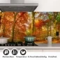 Preview: Küchenrückwand Folie goldener Herbstwald - Strahlende Naturpracht Detailbild 1