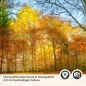 Preview: Küchenrückwand Folie goldener Herbstwald - Strahlende Naturpracht Detailbild 2