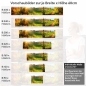 Preview: Küchenrückwand Folie Weg durch den Wald im Herbst Höhe 60cm