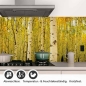 Preview: Küchenrückwand Folie Birkenwald Detailbild 1