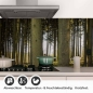 Preview: Küchenrückwand Folie Nadelwald - Lichtspiel der Natur Detailbild 1