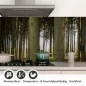 Preview: Küchenrückwand Folie Nadelwald - Lichtspiel der Natur Detailbild 1
