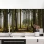 Preview: Küchenrückwand Folie Nadelwald - Lichtspiel der Natur Hauptbild 1