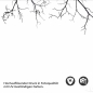 Preview: Küchenrückwand Folie Filigrane Baumkronen - Minimalistische Eleganz Detailbild 2