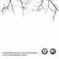 Preview: Küchenrückwand Folie Filigrane Baumkronen - Minimalistische Eleganz Detailbild 2
