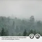 Preview: Küchenrückwand Folie Wald im Nebel Detailbild 2