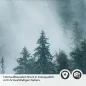 Preview: Küchenrückwand Folie Nebel und Tannen - Ein Hauch von Naturmystik Detailbild 2