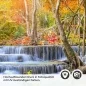 Preview: Küchenrückwand Folie Wasserfall im Herbstwald Detailbild 2