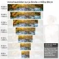 Preview: Küchenrückwand Folie Wasserfall im Herbstwald Höhe 80cm