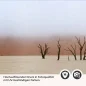 Preview: Küchenrückwand Folie Wüstenlandschaft Detailbild 2