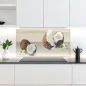 Preview: Küchenrückwand Platte Coconuts Artikelbild 2