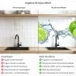 Preview: Küchenrückwand Platte Limetten Splash Produktdetailbild 2: Hygiene und Gesundheit!