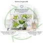 Preview: Küchenrückwand Platte Spritzige Limetten Produktdetailbild 1: Küchen-Sorgen ade!