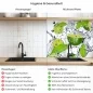 Preview: Küchenrückwand Platte Spritzige Limetten Produktdetailbild 2: Hygiene und Gesundheit!