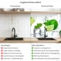 Preview: Küchenrückwand Platte Spritzige Limetten & Kirschen Produktdetailbild 2: Hygiene und Gesundheit!