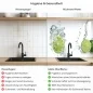 Preview: Küchenrückwand Platte Limetten Wasser Splash Produktdetailbild 2: Hygiene und Gesundheit!