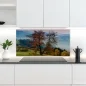Preview: Küchenrückwand Platte Weite Weide Artikelbild 2