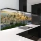 Preview: Küchenrückwand Platte Dünenlandschaft & Strand Flora Hauptbild 1