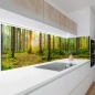 Preview: Küchenrückwand Platte Unberührter Wald Artikelbild 1