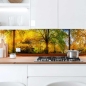 Preview: Küchenrückwand Platte Herbstlicher Wald Artikelbild 2