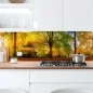 Preview: Küchenrückwand Platte Herbstlicher Wald Artikelbild 2