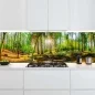 Preview: Küchenrückwand Platte Wald im Lichtspiel Artikelbild 2
