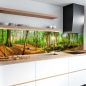 Preview: Küchenrückwand Platte Wald im Lichtspiel Hauptbild 1