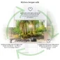 Preview: Küchenrückwand Platte Wald im Lichtspiel Produktdetailbild 1: Küchen-Sorgen ade!