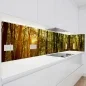 Preview: Küchenrückwand Platte Waldallee im Herbst Artikelbild 1
