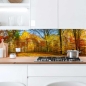 Preview: Küchenrückwand Platte Goldener Herbstwald Artikelbild 2