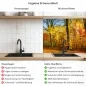 Preview: Küchenrückwand Platte Goldener Herbstwald Produktdetailbild 2: Hygiene und Gesundheit!